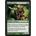 Magic the Gathering - Zendikar - #161/249 - Fro...