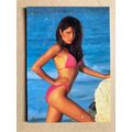 Ujena Swimwear Illustrated 1993 Edition Base tr...