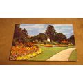 1960s Postcard - Crescent Gardens, Frinton-On-S...