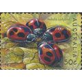 AUSTRALIA, INSECT, Vedalia ladybird, yellow 200...