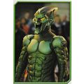 Merlin's Spider-Man (2002) Sticker Collection -...