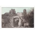Triple Gateway Dudley Castle Postcard The Daint...
