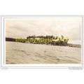 TROPICAL ISLAND, NEAR MADRAS?, INDIA, c1920s, P...