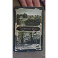 1910 fr Postcard -Dual scenes, Tunbridge Wells,...