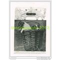 BASKET OF MISCHIEF (PUPPIES) BY A R DRESSER, Bo...