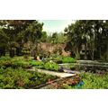 Postcard Logan Gardens, Wigtown, Dumfries and G...