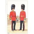 Adjutant & Field Officer Irish Guards Uniform P...