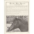 rancho san ignacio 1972 bint dahma el sareel ar...