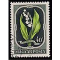 Hungary 1951 Flowers 40f Used Stamp
