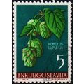 Yugoslavia 1955 5d S.G.792 Used