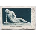 1904 postcard Museo Capitolino Gladiatore Morib...