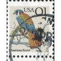 USA, BIRD, American Kestrel, Falco sparverius, ...