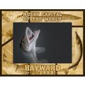 Musky Capital of the World Hayward Wisconsin La...