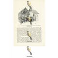 Crosby Hall, NE View, London, Book Illustration...