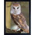 BARN OWL 3D FRIDGE MAGNET Great Christmas stock...