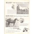 arabian heights 1972 mujahid sureyn sacre bleu ...