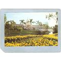 FL Orlando Amusement Park Postcard Walt Disney ...