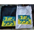 Welsh Dragon in Ukrainian Colours, Welsh Suppor...