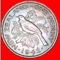 Ⰶ BIRD (1940-1947): NEW ZEALAND ★ PENNY 1942! K...