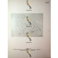 Femme Agenouillee & Cafe Lavens, Book Illustrat...
