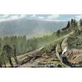 Ruarimu Train New Zealand Spirals Three Levels ...