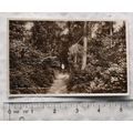 vintage postcard Glory Woods, Dorking