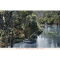 Kokokoro Reservoir Petone Water Supply New Zeal...