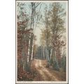Leslie Avenue, Mackinac Island, Michigan, c1910...