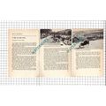 Betty Bendell - 1973 Small Article
