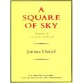 A Square Of Sky