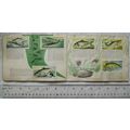 Complete set 50 Brooke Bond Freshwater Fish - i...