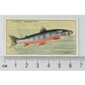1933 Players Fresh-water Fishes, pink back No. ...