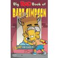 Big Bad Book of Bart Simpson : Graphic Novel : ...