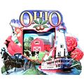 Ohio Montage Artwood Fridge Magnet
