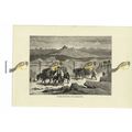 Turkish Muleteers In Herzegovina, Book Illustra...