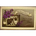 1949 postcard Fond Birthday Wishes + Dogs