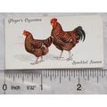 1931 John Player & Sons Poultry No. 45 Speckled...