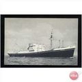 Holland-America Line MV DONGEDYK Company Postcard