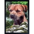 BORDER TERRIER 3D FRIDGE MAGNET lovely gift for...