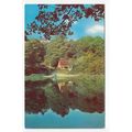 Friday Street Dorking Surrey Postcard 1501