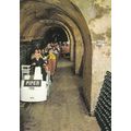Reims Piper Heidsieck France Postcard unused VGC