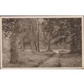 PPC Felbrigg Woods nr Cromer Norfolk 1915 AJ Ro...