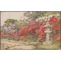 Azaleas, Awata Jinja Shrine, Kyoto, 1925 - A & ...