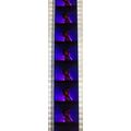 Dracula . Pk RED - A019s . 1 STRIP OF 10 - 35MM...