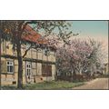 The House with the Cherry Blossoms, 1914 - Post...