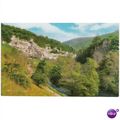 Miller's Dale Derbyshire 1970s Salmon postcard