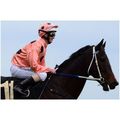 DVD - BLACK CAVIAR's 2012 Diamond Jubilee ENTIR...