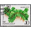 Russia. 1987 10k S.G.5775 Used