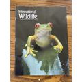 International Wildlife National Federation Marc...