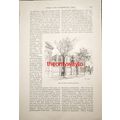 THE COUSISO HOUSE, SANTIAGO, Chile, Book Illust...